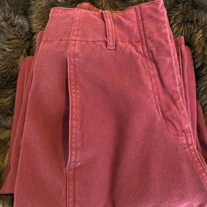 Aritzia Ascendant Utility Pant
